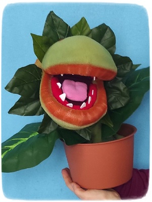 Click for more pictures, info and purchase.